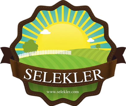 Selekler